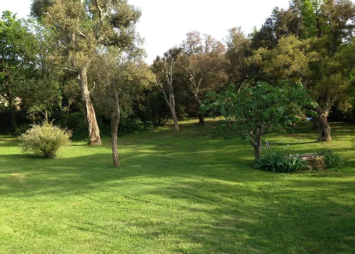 Les Gites Du Merle