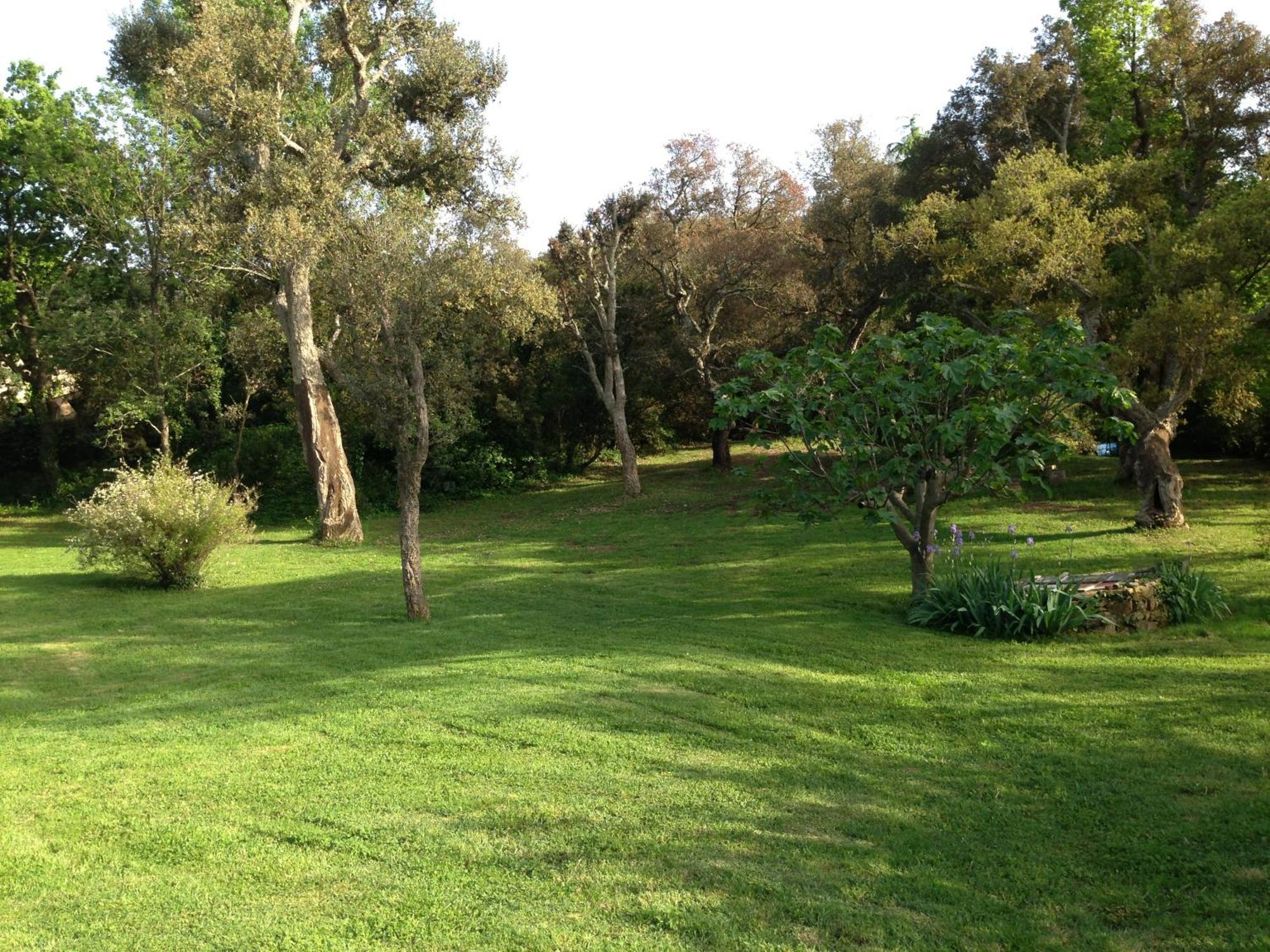 Holiday home Les Gites Du Merle Cogolin